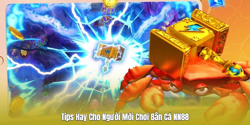 Bí quyết săn cá hay được cao thủ chia sẻ Bí quyết săn cá hay được cao thủ chia sẻ